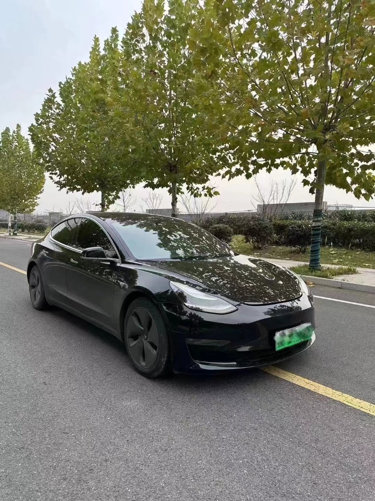 棗莊20年特斯拉MODEL 32
