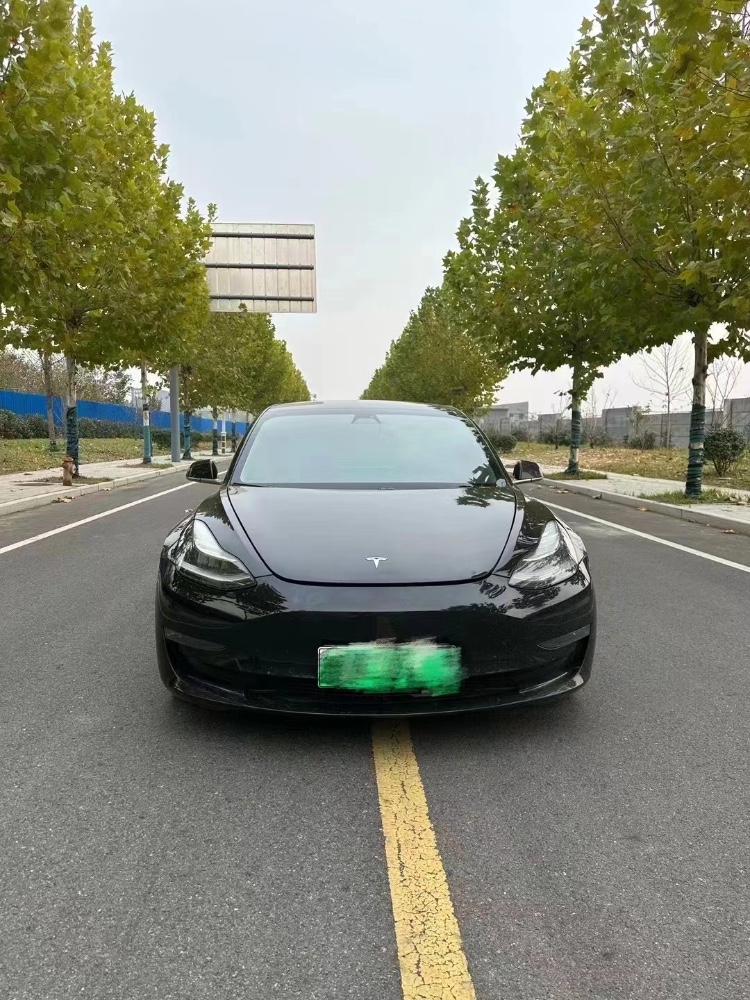 棗莊20年特斯拉MODEL 31