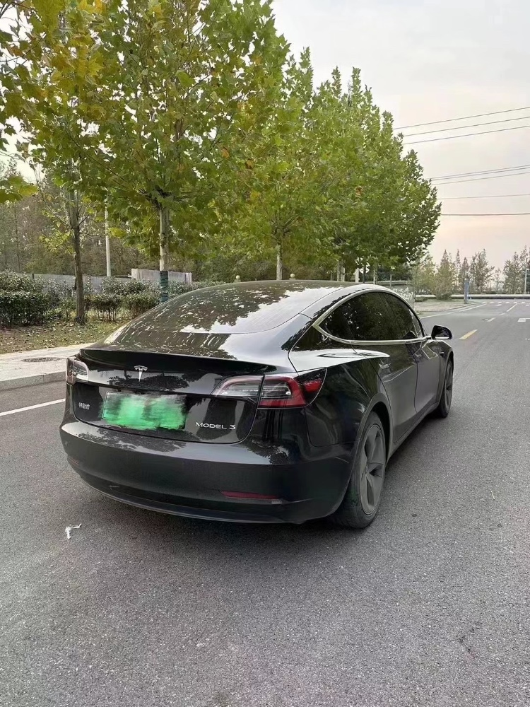 棗莊20年特斯拉MODEL 33