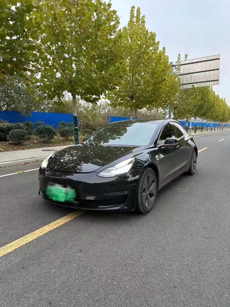棗莊20年特斯拉MODEL 39