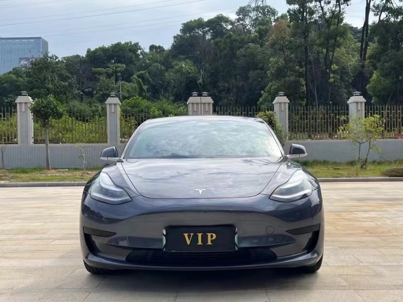 廣州20年特斯拉MODEL 31