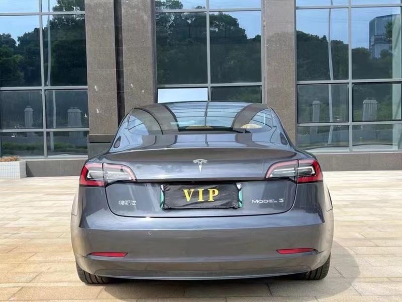 廣州20年特斯拉MODEL 36