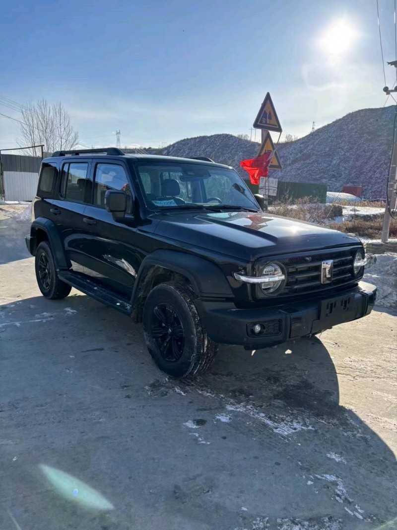 邯郸23年长城汽车坦克3003