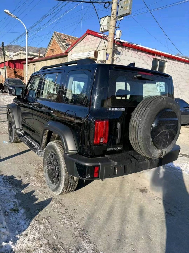 邯郸23年长城汽车坦克3004