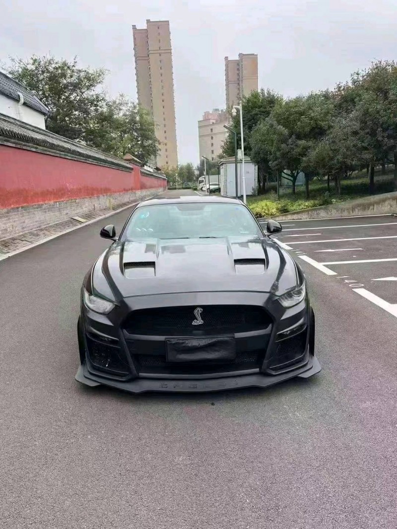 济宁16年福特野马1