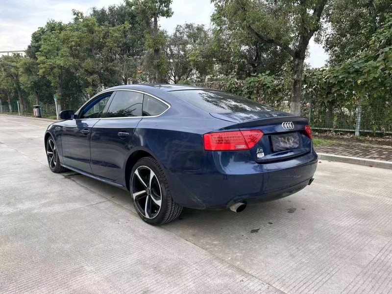 臺州12年奧迪A52