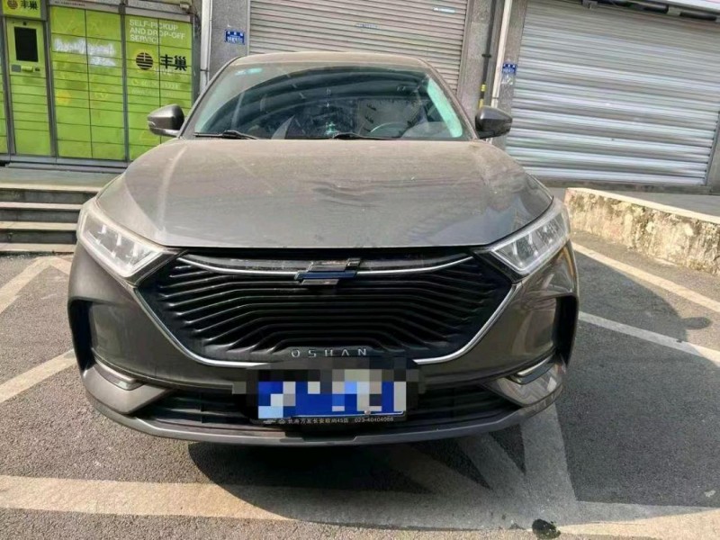 重庆20年长安汽车欧尚1