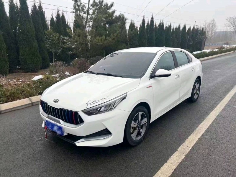 枣庄20年起亚K38