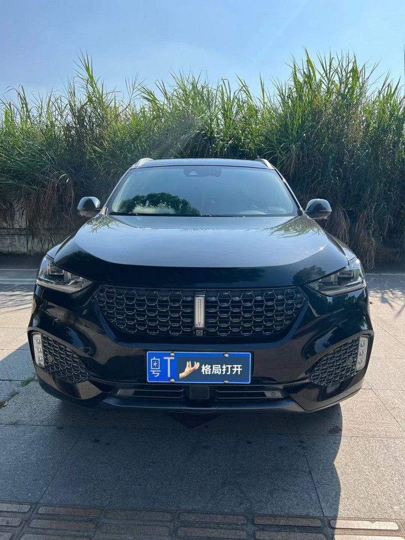 东莞20年长城汽车WEY VV61