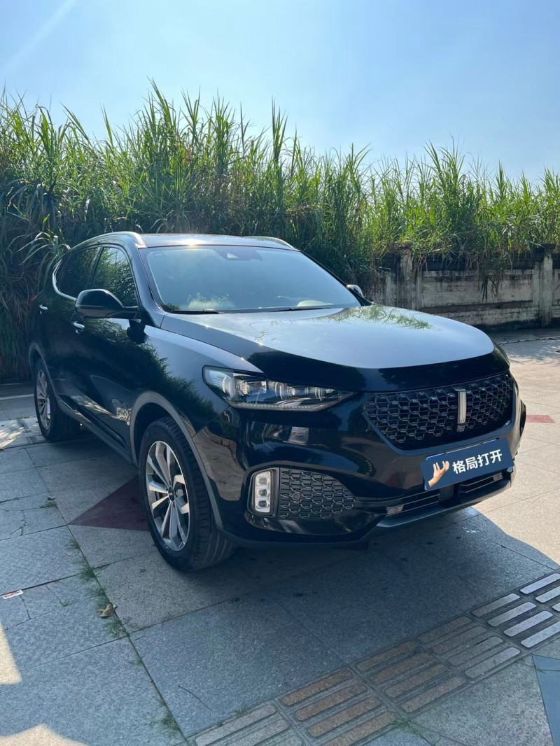 东莞20年长城汽车WEY VV62