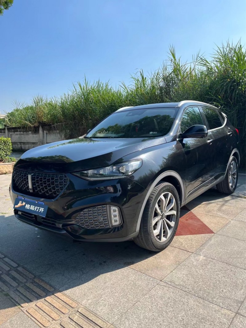 东莞20年长城汽车WEY VV63