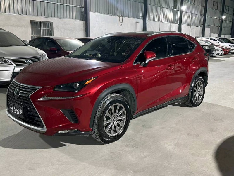 广州19年雷克萨斯NX2
