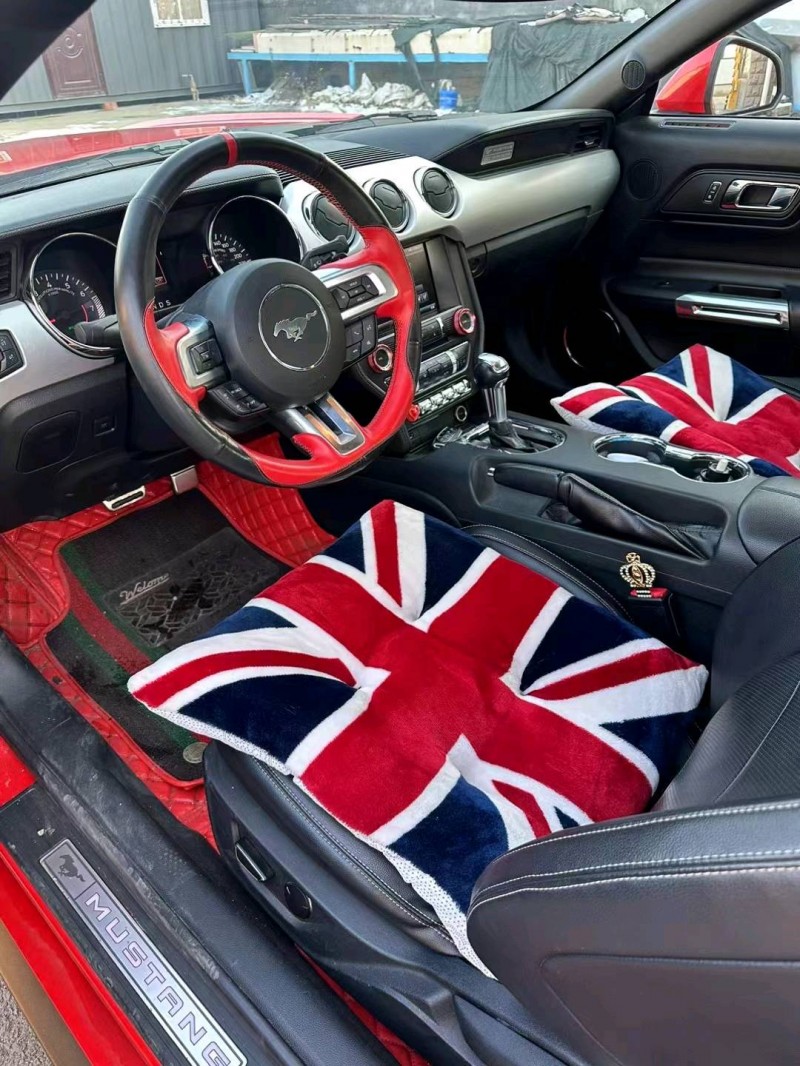 枣庄15年福特野马3