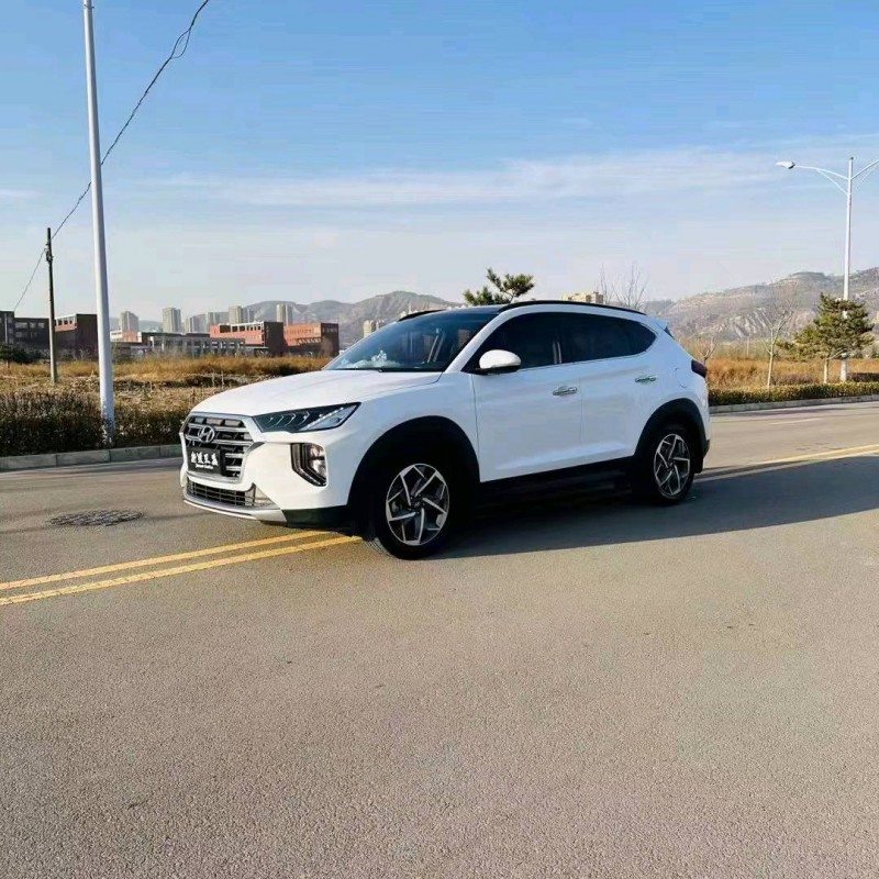 邯郸20年现代途胜2