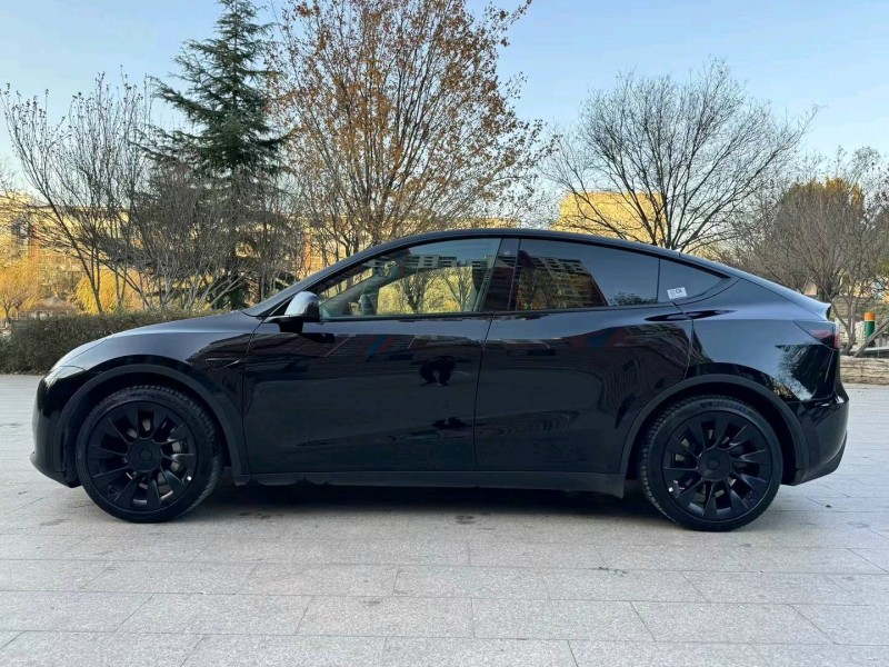 邢臺22年特斯拉MODEL Y8