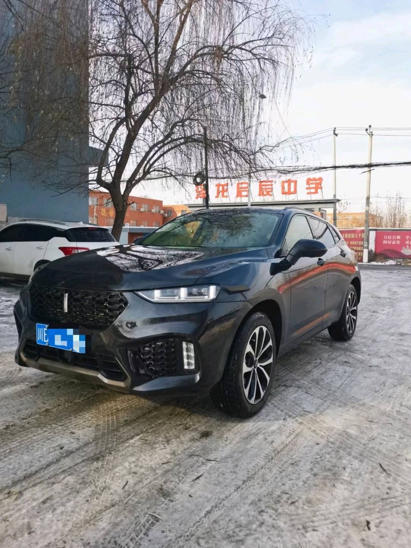 保定17年长城汽车WEY VV73