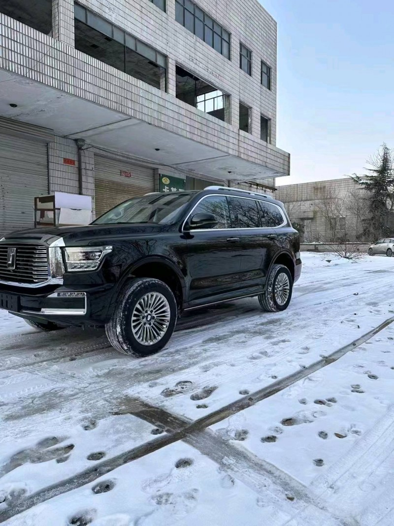 邯郸23年长城汽车坦克5002