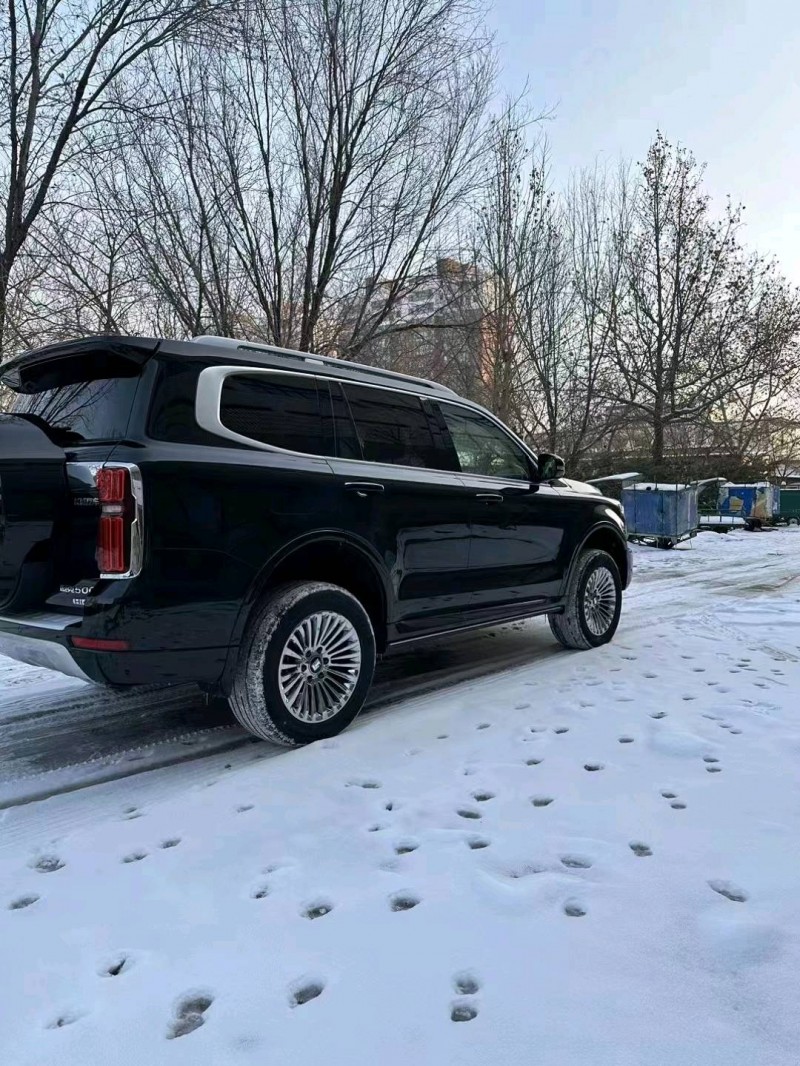 邯郸23年长城汽车坦克5003