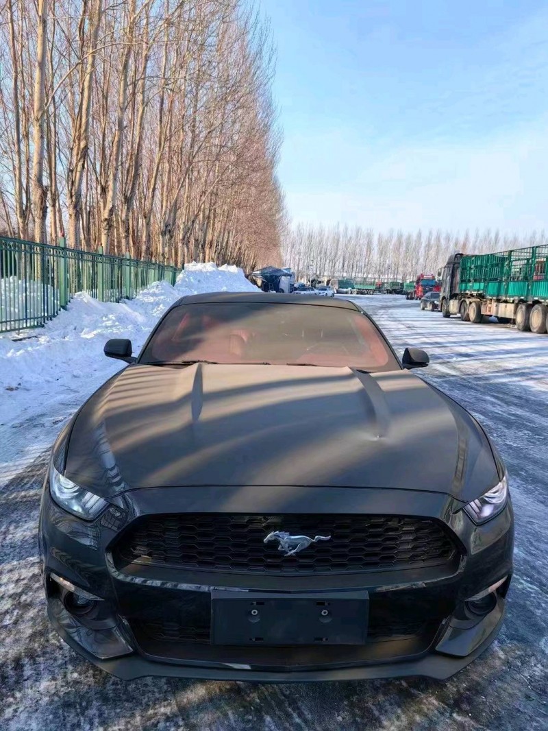 枣庄15年福特野马1