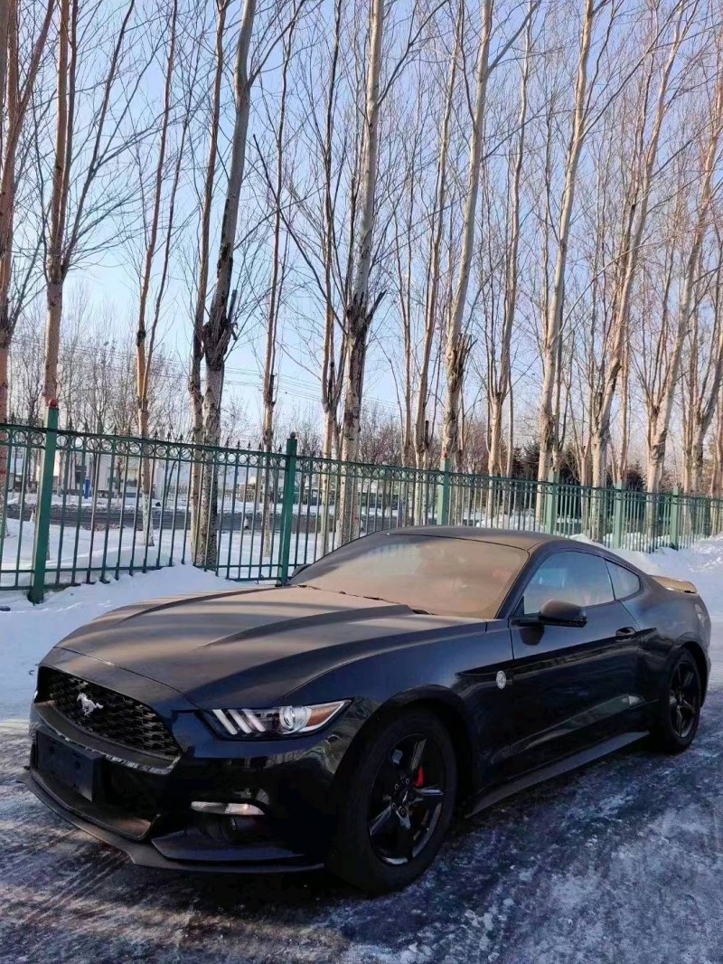 枣庄15年福特野马2