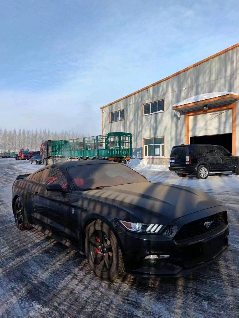 枣庄15年福特野马3