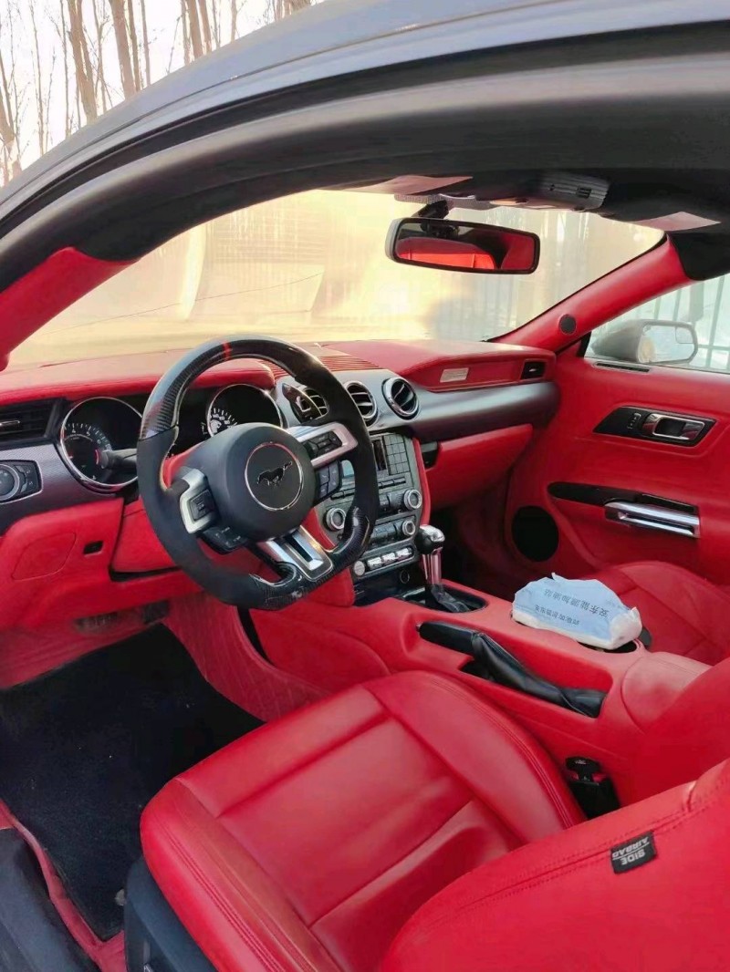 枣庄15年福特野马8