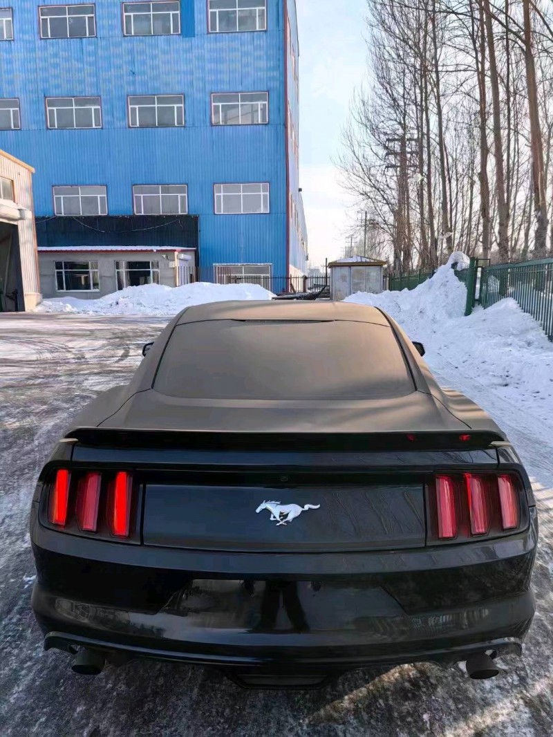 枣庄15年福特野马9