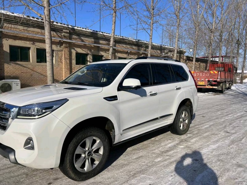 保定20年哈弗H92