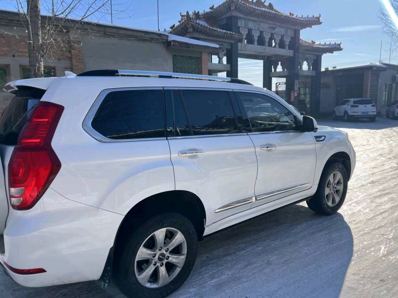 保定20年哈弗H96