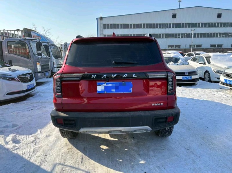 保定20年哈弗大狗9