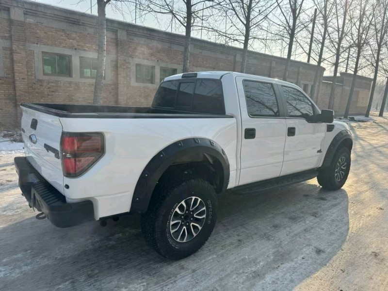 保定14年福特猛禽9