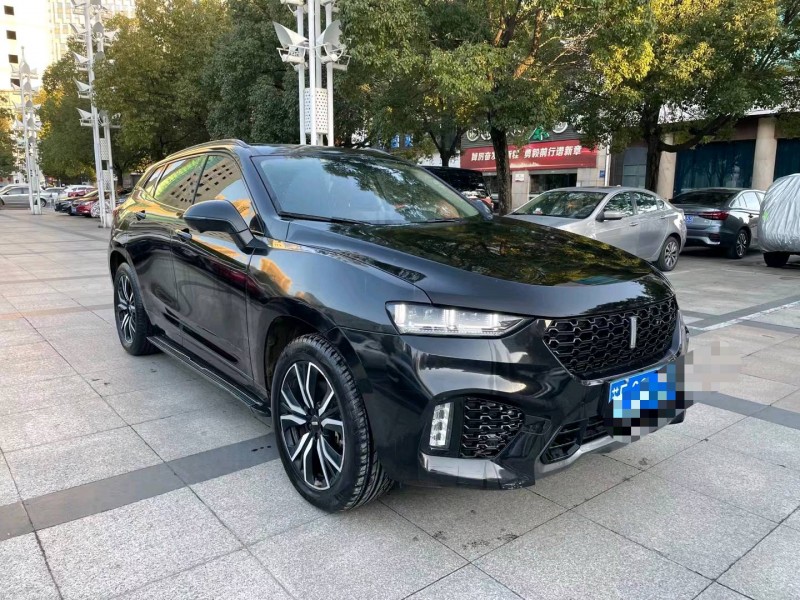 徐州19年长城汽车WEY VV73
