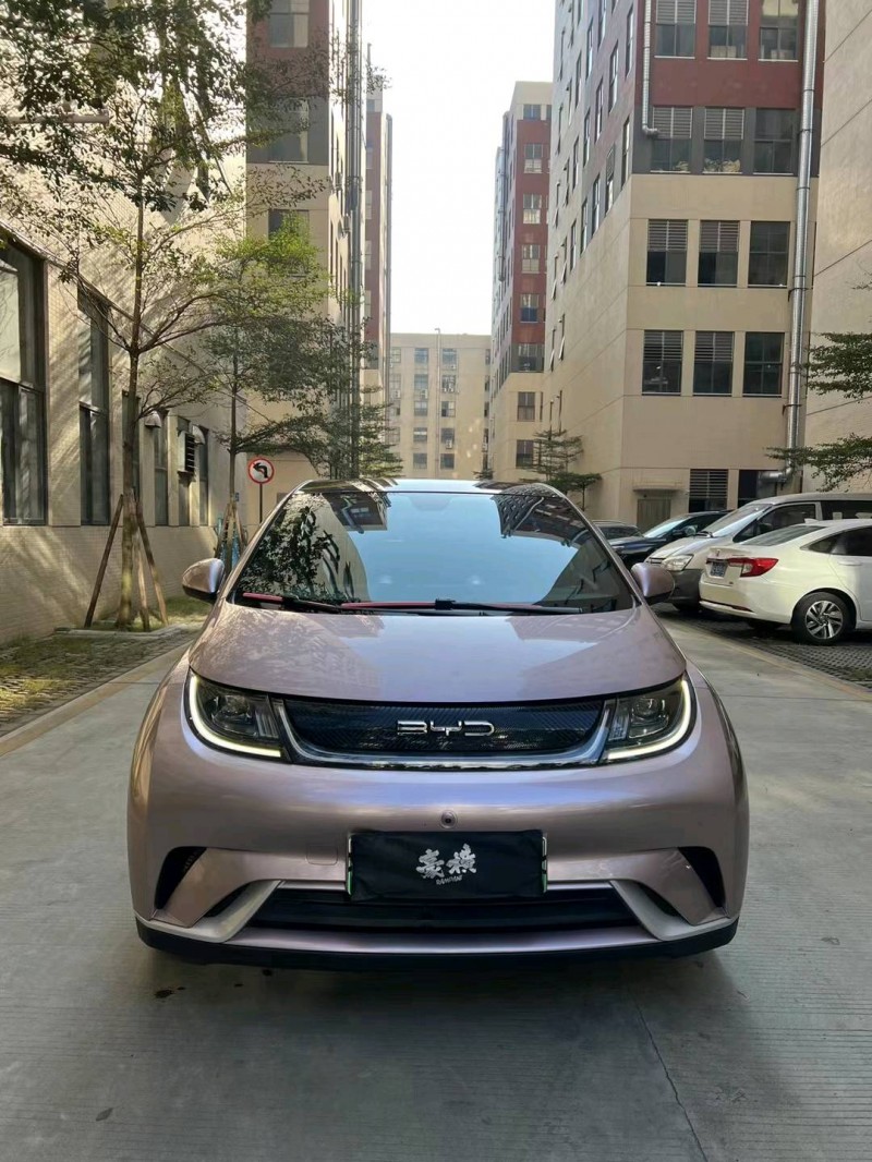佛山22年比亚迪海豚1
