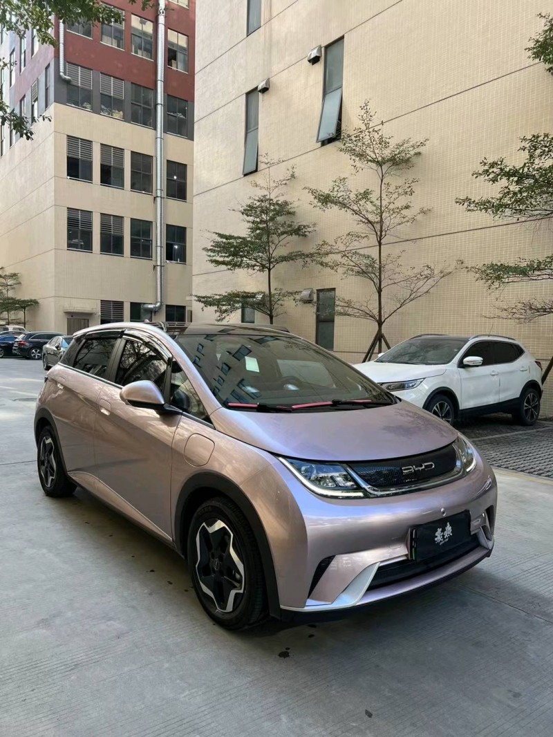 佛山22年比亚迪海豚2