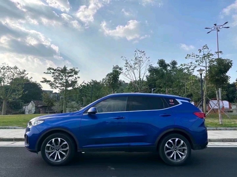 汕头19年长城汽车WEY VV64