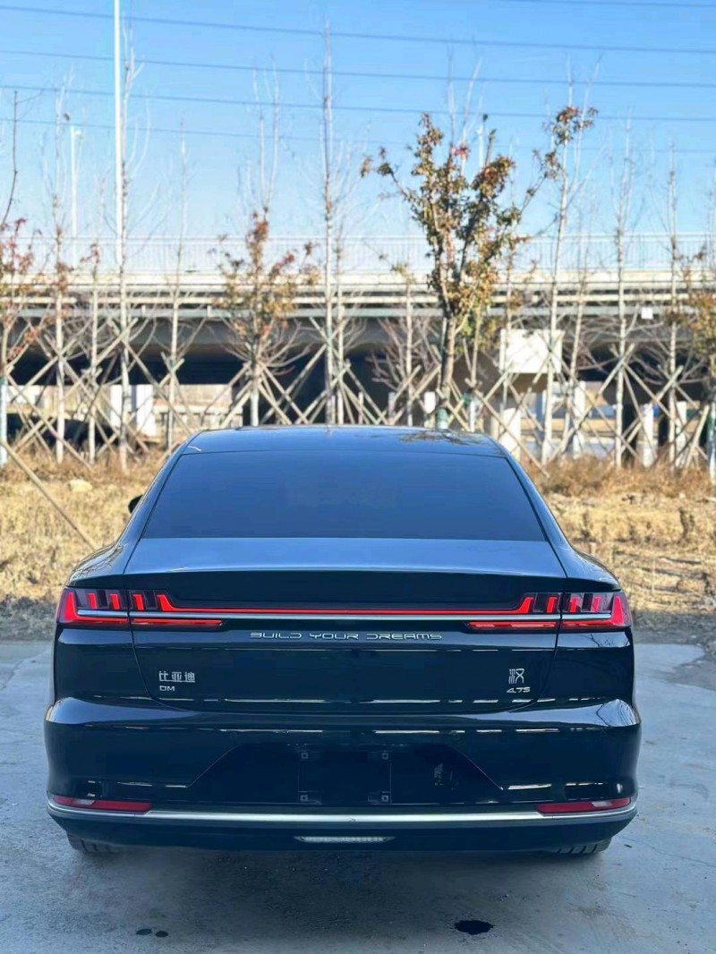 枣庄22年比亚迪汉DM8