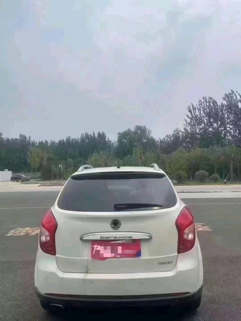 聊城15年双龙柯兰多4