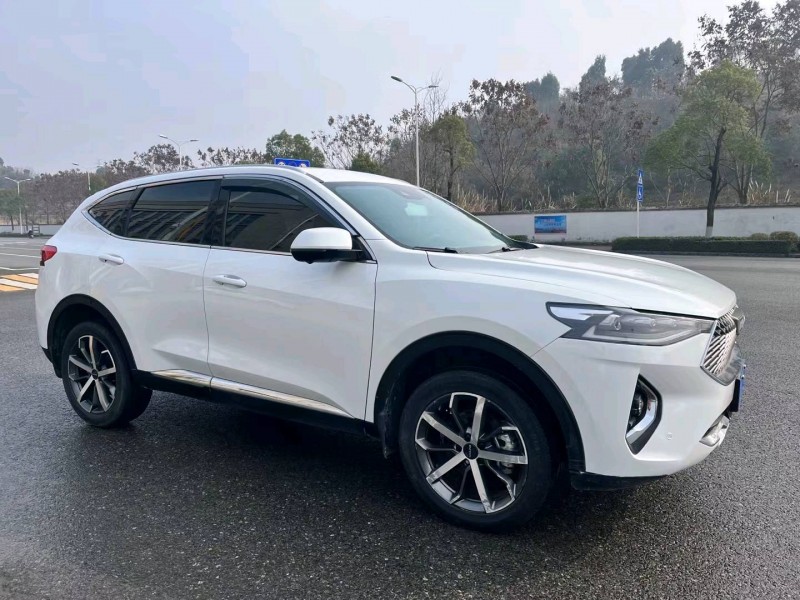 宜昌20年哈弗F73