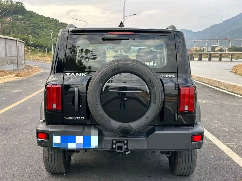 东莞23年长城汽车坦克3009