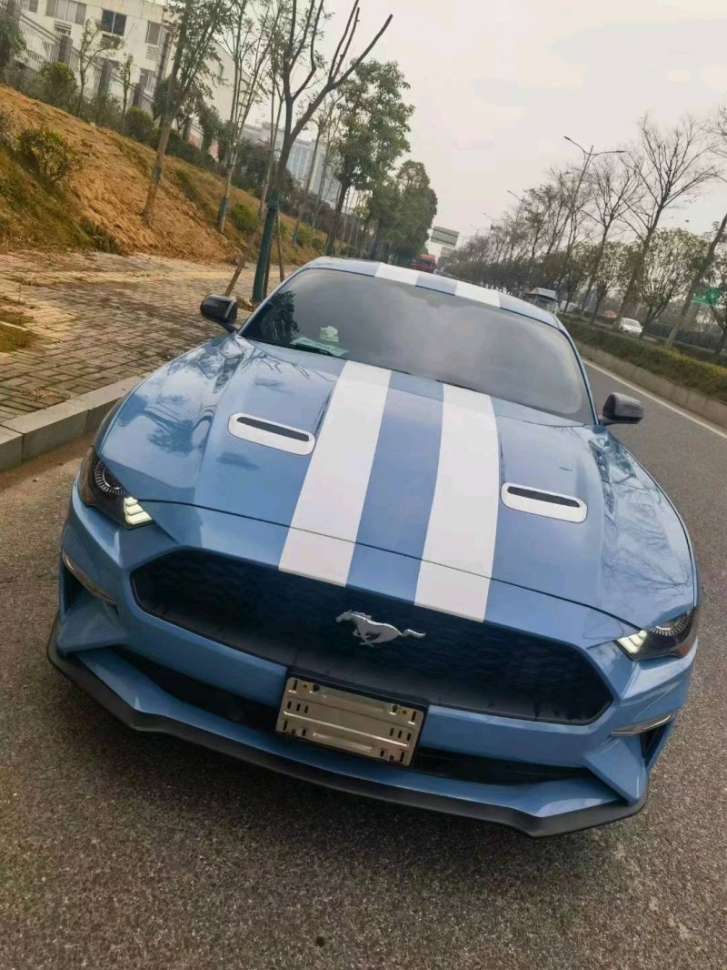 枣庄18年福特野马1