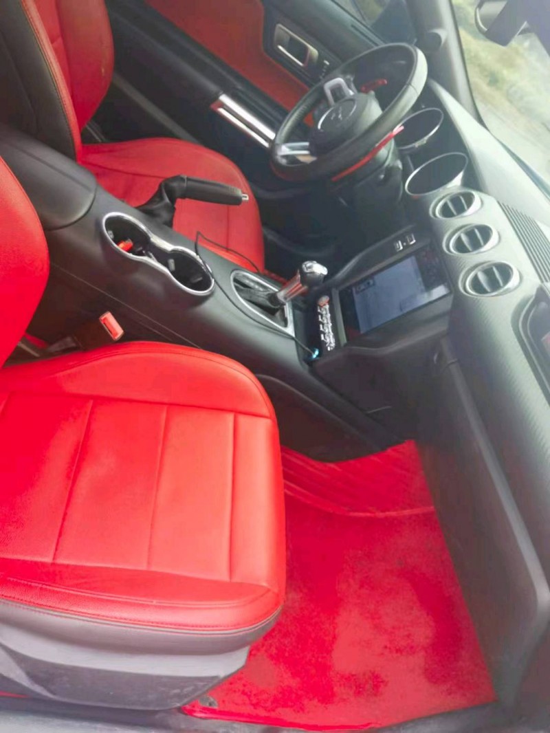 枣庄18年福特野马6