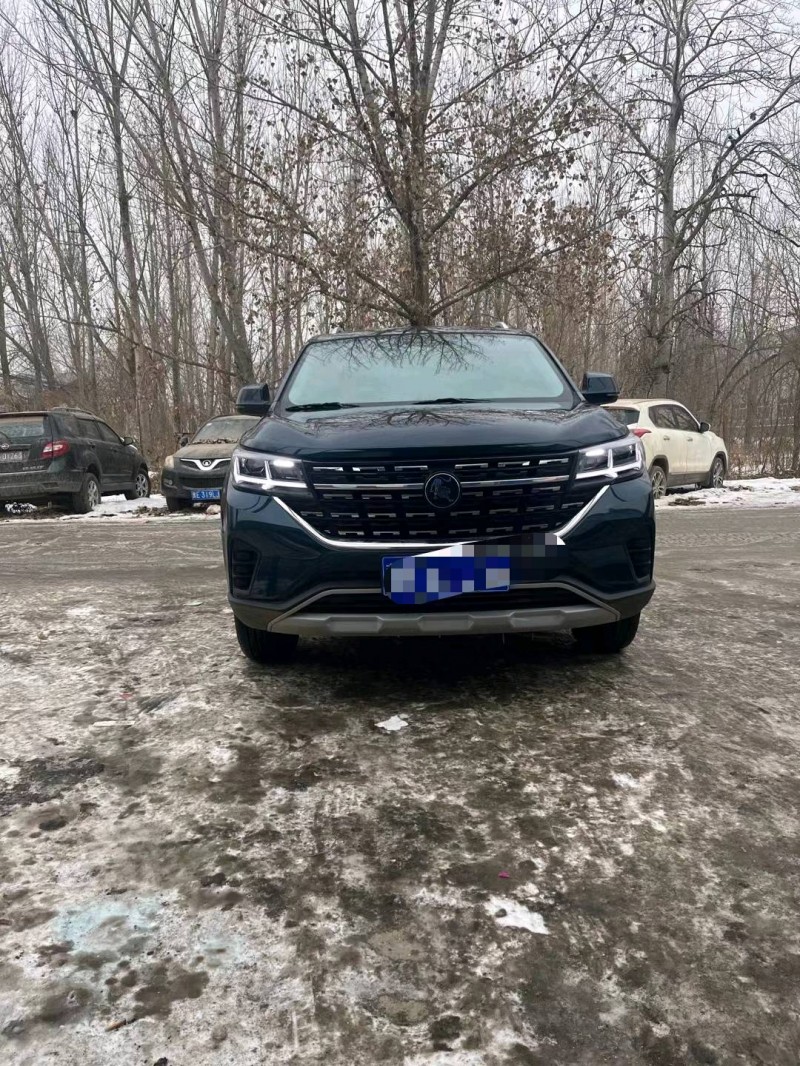 保定22年东风T51