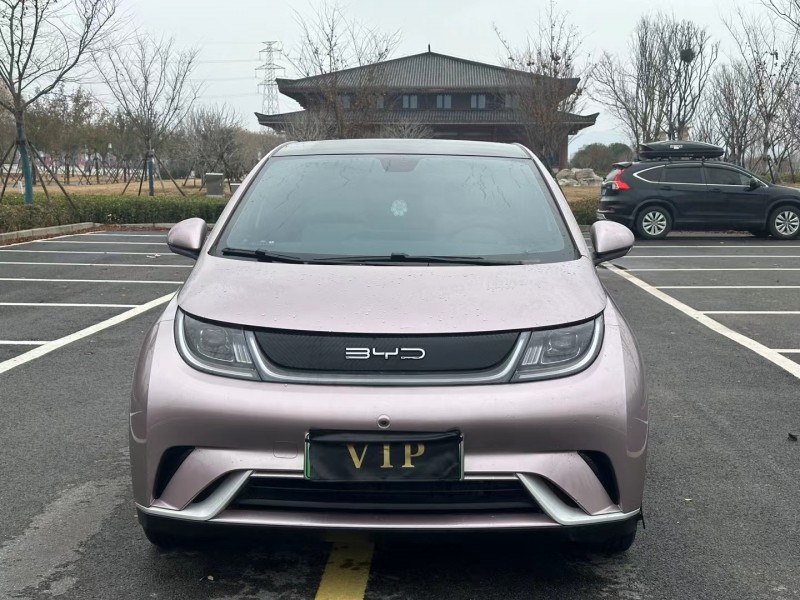 徐州22年比亚迪海豚1