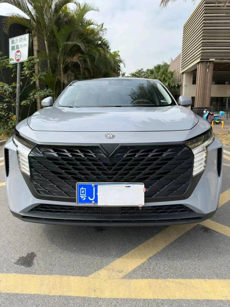 佛山22年啟辰大V1
