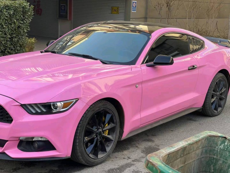 潍坊16年福特野马2