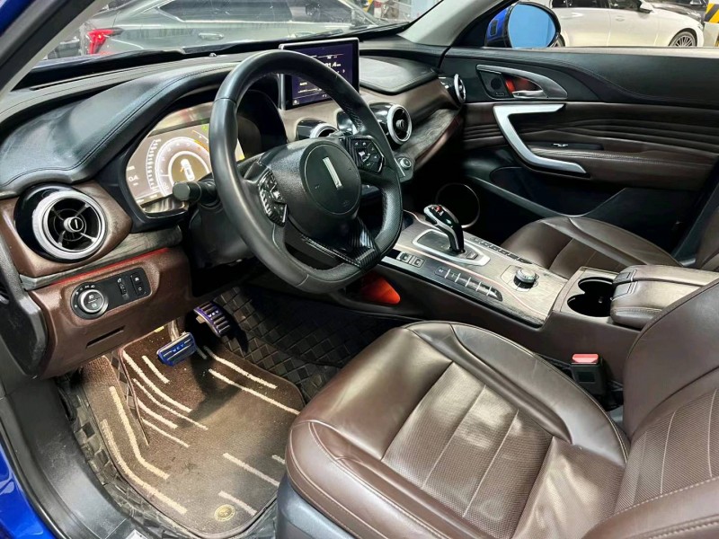 成都19年长城汽车WEY VV77