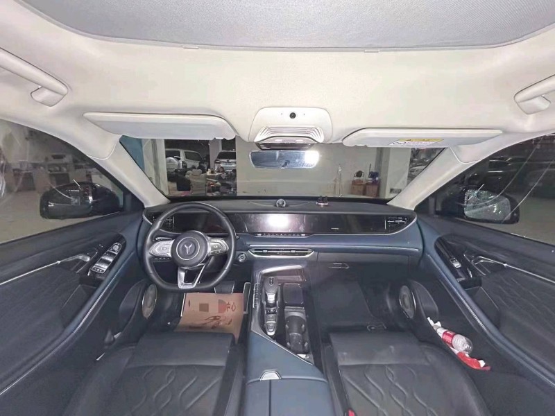 衡陽22年嵐圖汽車FREE8