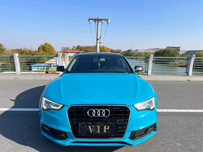 盐城16年奥迪A51