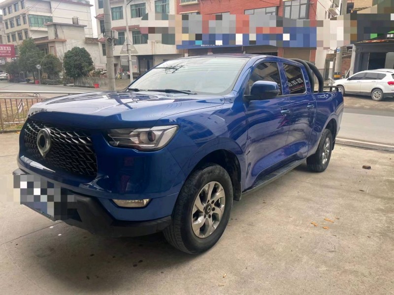婁底22年長城汽車炮 皮卡3
