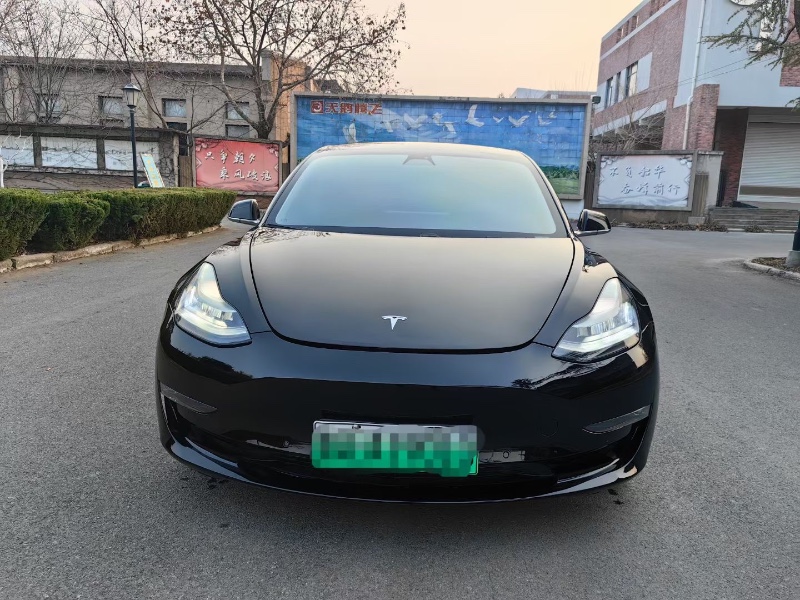 棗莊20年特斯拉MODEL 31